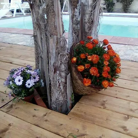 Ca'pippo Guest house *